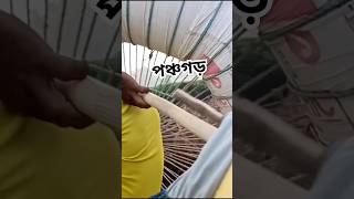 পঞ্চগড় কাঞ্চনজঙ্ঘা পাহাড় sjvlog viralvideo viralshort trending trendingvideo trend reels [upl. by Nirol]