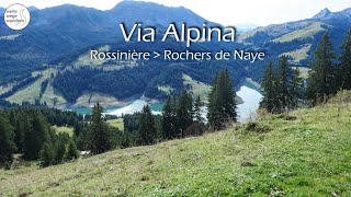 Via Alpina Rossinière » Rochers de Naye Etappe 19 [upl. by Sidon]