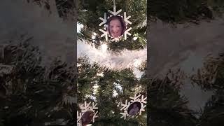 My quotFamilyquot Christmas Tree [upl. by Malvina]