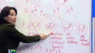 Biologie pentru Bac Prof Otilia Lazăr 4 [upl. by Wilburn317]