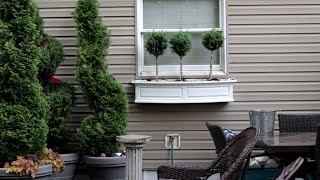 Planting the Window Box Birds 🐦 Hydrangea After Planting  Monrovia Boxwood Topiary Garden Queen [upl. by Llemaj]