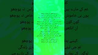 Urdu poetry sad poetcommunity poetry songlyrics poetryapp musiclyrics poetryislife fypppp [upl. by Ainahs284]