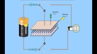 Capacitor Construction and Working Animation Parallel Plate Capacitor Charging amp Discharging PhET [upl. by Tad]