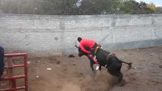 JARIPEO EN EL SALITRE QUERETARO 2014 [upl. by Enaoj]