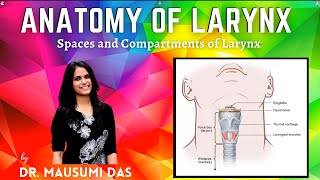 Anatomy of Larynx  Spaces and Compartments of Larynx [upl. by Enileda]