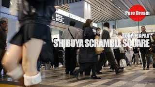 SHIBUYA SCRAMBLE SQUARE NOVEMBER 20 2024 T1807 JP [upl. by Shum767]