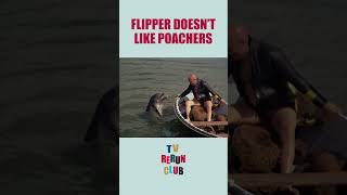 Flipper capsizes a boat 🐬 TVRerunClub Flipper Adventure [upl. by Amby]