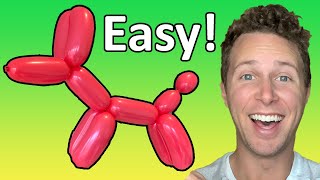 How to Make a Balloon Dog  Beginner Balloon Twisting Tutorial [upl. by Alarice]