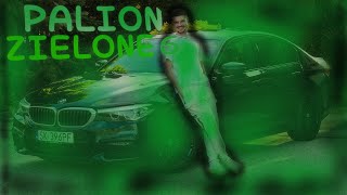 PALION ZIELONE 6 OFFICAL MUSIC VIDEO [upl. by Mozart]