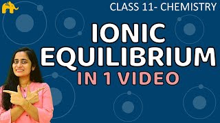 Ionic Equilibrium Chemistry Class 11 Chapter One Shot CBSE NEET JEE [upl. by Nwahsyar]