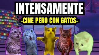 INTENSAMENTE  cine pero con gatos meme de gatos [upl. by Rimas]