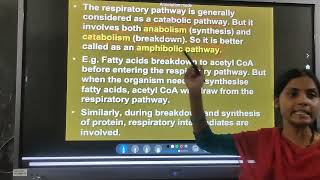 Biology  Amphibolic pathway and Respiratory Quotient [upl. by Juanita244]