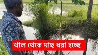 খাল থেকে মাছ ধরা হচ্ছে  Gram Bangla 23 is live [upl. by Eicnan]