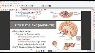 anatomy lect 1 sem 2 [upl. by Eilyab]