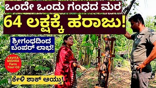 FARM TOURquot64 ಲಕ್ಷಕ್ಕೆ ಮಾರಾಟವಾಯ್ತು ಒಂದೇ ಒಂದು ಗಂಧದ ಮರquotE03Kavita Mishra FarmKalamadhyamaparam [upl. by Phare]