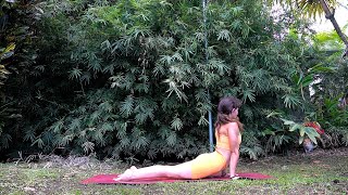 Ashtanga For Beginners 40 Minute Modified Primary Standing amp Seated Poses [upl. by Kazim843]