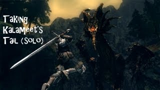 Dark Souls Taking Kalameets Tail Solo [upl. by Anahir]