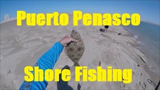 Catching a Variety in Puerto Penasco Mexico aka Rocky Point [upl. by Pammi]