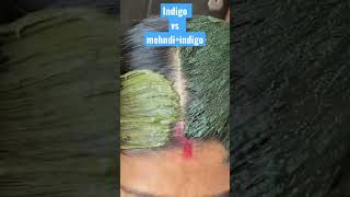 Indigo powder vs mehndi and indigo powder youtubeshorts [upl. by Perron]