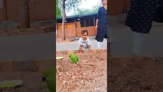 🦜😜panjavarna pachakili 🤩💚😍cute baby with parrot 🦜 [upl. by Araem]