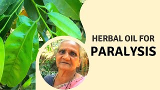 Home remedies For Paralysis  Herbal oil using Karingotta plant for paralysis  Herbal Oil Making [upl. by Thirzia]