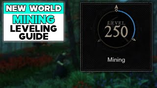 20000 XP in 1 MINUTE  New World Leveling Guide 2023 XP Farm Fast Leveling How To Level Up Fast [upl. by Nomad]