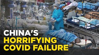 China Coronavirus Live Beijing To Stop Releasing Covid Data As Xis Failure Puts Millions At Risk [upl. by Eleanor]