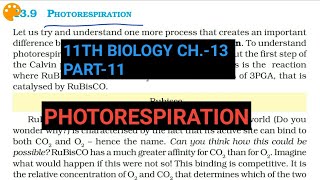 Class 11 BiologyCh13 Part11PhotorespirationStudy with Farru [upl. by Punak]