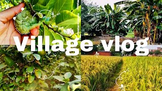 Village Greenery🌴☘️ Exploring the Amazing World of Plants in Rural Life😊 Abhijeet Vlogs [upl. by Ellersick]