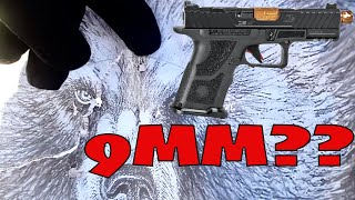 9mm May Be The Best Round to Carry in Bear Country Heres Why [upl. by Jermayne686]