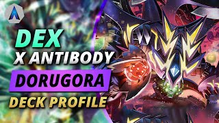 THE RETURN OF DexDorugoramon DeathXmon Deck Profile amp Combo Guide  Digimon Card Game BT13 Format [upl. by Yroj]