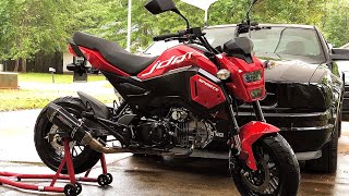 2020 Honda Grom SF miniMOTO 2nd Gen Inspired  Upgraded amp Modified  quotScarletquot  Speed Limit 233mph [upl. by Neenwahs]