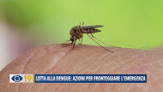 Lotta alla Dengue per fronteggiare lemergenza [upl. by Anaizit]