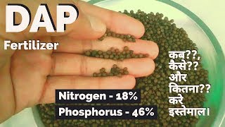 What is DAP Fertilizer and How to use DAP Fertilizer in Plants Hindi [upl. by Ssecnirp]