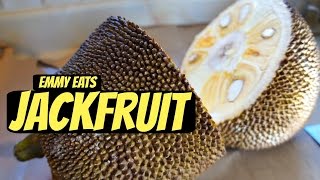 Tasting Jackfruit amp How to Open It [upl. by Etnaik]