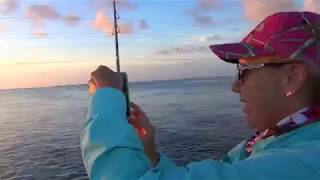 islamorada Channel 2 BridgePier Fishing [upl. by Gelman]