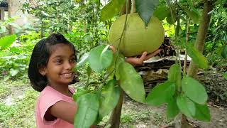 Unique Sundarban Village Food  UNIQUE SUNDARBAN villagefood sundarban villagefoodcooking [upl. by Iover]