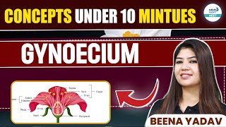 Gynoecium Simplified NEET 2025 Concepts in Just 10 Minutes  InfinityLearnNEET [upl. by Vic857]