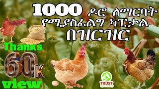 1000 ሺ ዶሮ ለማርባት የሚያስፈልግ ካፒታል በዝርዝር [upl. by Roye783]