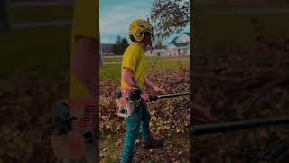 The best Tree Service in West Virginia bluecollar ￼ [upl. by Poppy]