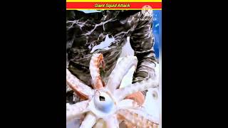 Giant Squid Attack 😱 shorts [upl. by Nayarb]