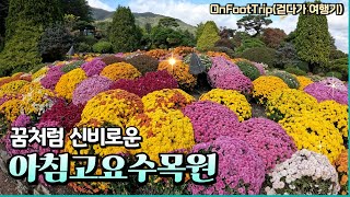 꿈처럼 신비로운 경기도 가평군 아침고요수목원 Achim Goyo Arboretum in Gapyeong of GyeongGiDo [upl. by Tommi]