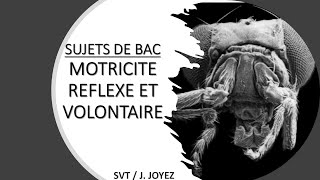 SUJETS BAC Motricité 2 [upl. by Arraeit]