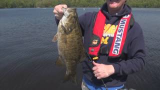 Hardy Dam Pond Smallmouth Bass Video Fishing Report [upl. by Guss982]