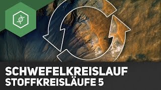 Schwefelkreislauf – Stoffkreisläufe 5 [upl. by Toinette900]