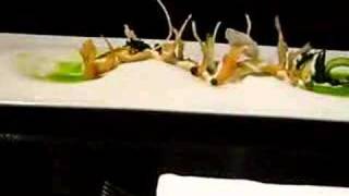 Alinea Restaurant Chicago quotIce Fishquot meal [upl. by Cown]