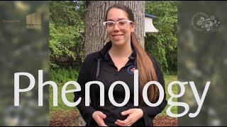 What is Phenology [upl. by Berny]