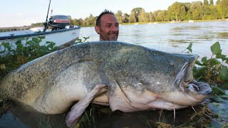 Catfish Over 250 lbs on Spinning Fishing by Yuri Grisendi [upl. by Aivatnohs]