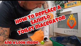 HOW TO REPLACE A SANIFLO Toilet macerator [upl. by Mutz]