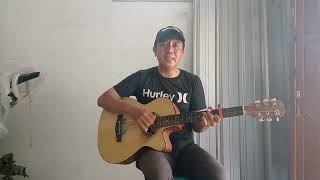 JAMBALAYA  Carpenters guitar covered mas echo [upl. by Hcurab]